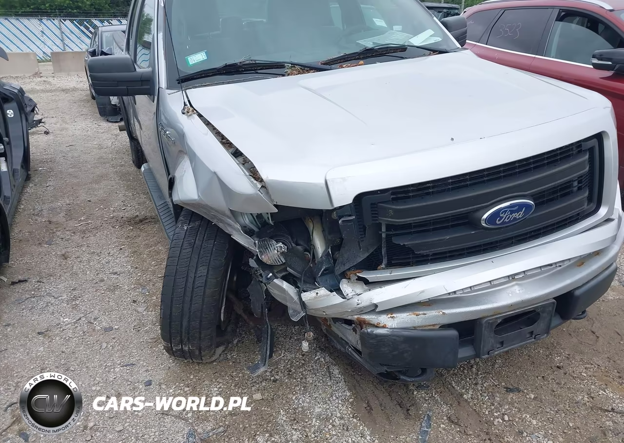 2013 Ford F-150 Stx VIN:1FTFX1EF8DFD24051 - 6