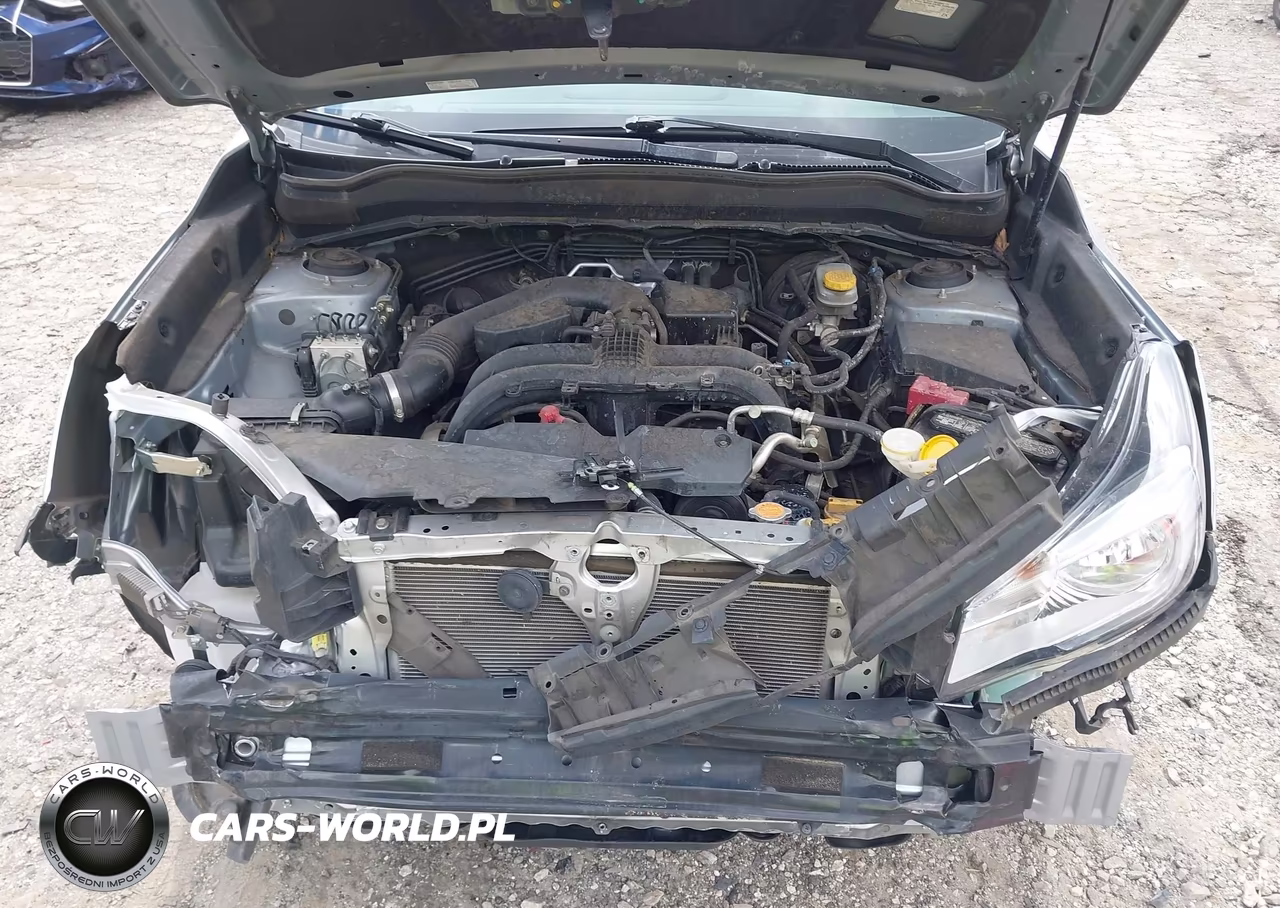 2017 Subaru Forester 2.5I Premium VIN:JF2SJAEC9HH805492 - 10