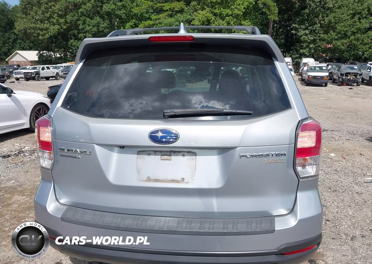 2017 Subaru Forester 2.5I Premium VIN:JF2SJAEC9HH805492 - 16