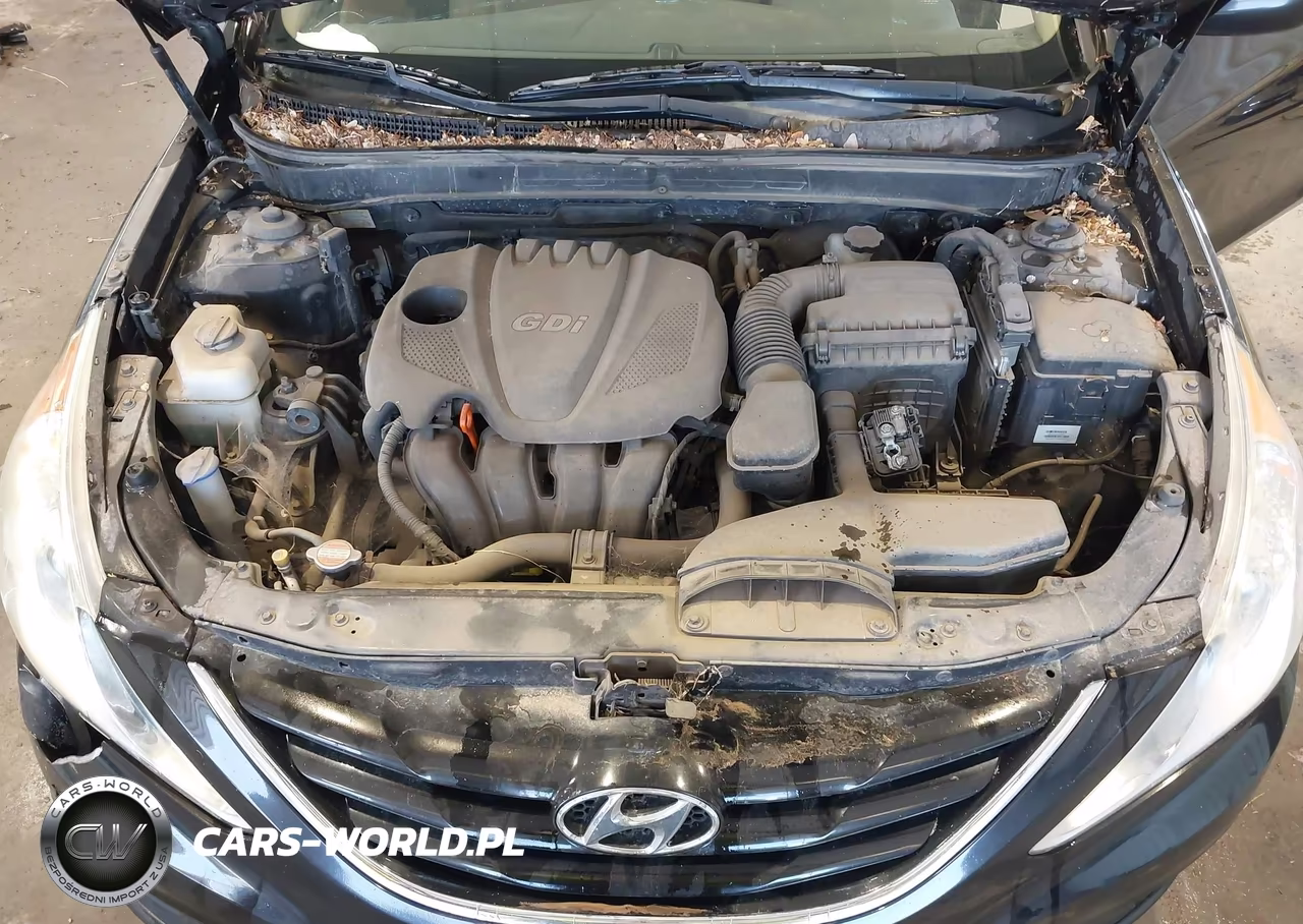 2013 Hyundai Sonata Gls VIN:5NPEB4AC9DH505995 - 10