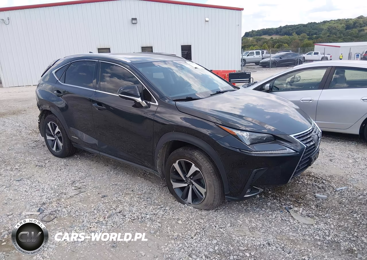 2019 Lexus Nx 300H