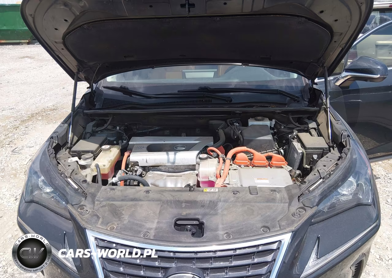 2019 Lexus Nx 300H VIN:JTJBJRBZ9K2111253 - 10