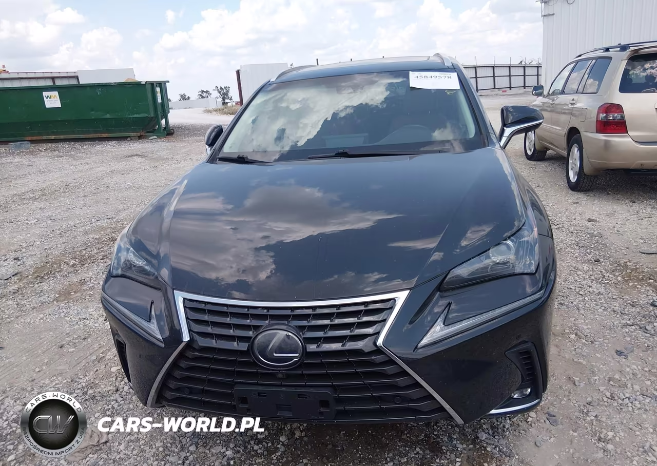 2019 Lexus Nx 300H VIN:JTJBJRBZ9K2111253 - 12