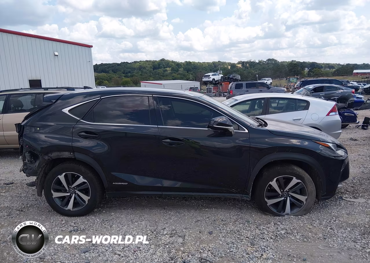 2019 Lexus Nx 300H VIN:JTJBJRBZ9K2111253 - 13