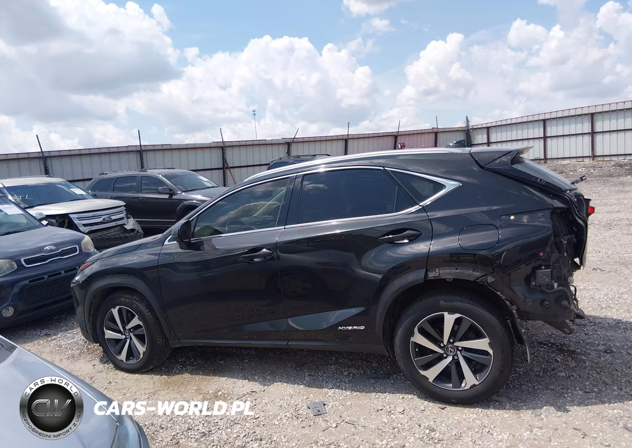 2019 Lexus Nx 300H VIN:JTJBJRBZ9K2111253 - 14