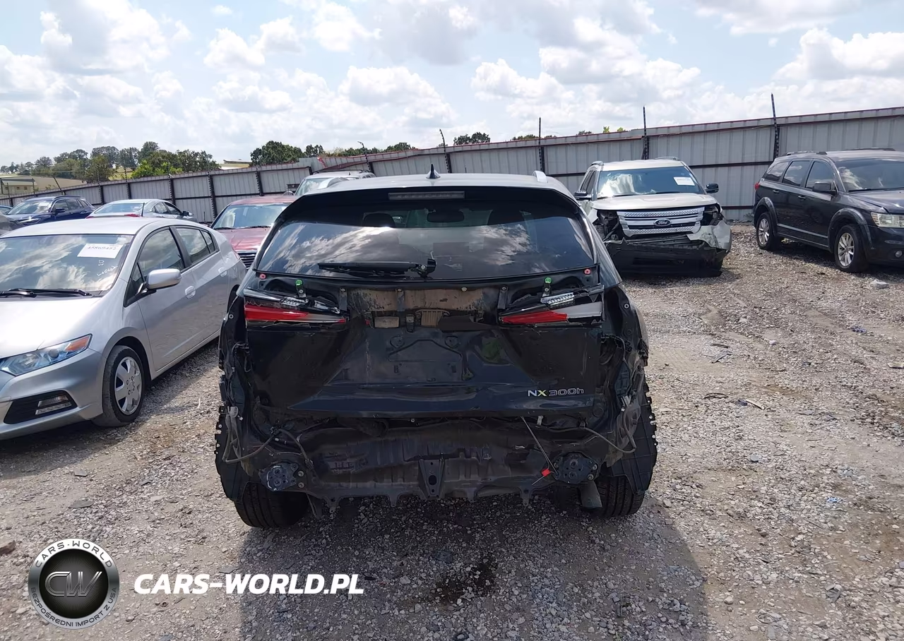 2019 Lexus Nx 300H VIN:JTJBJRBZ9K2111253 - 16