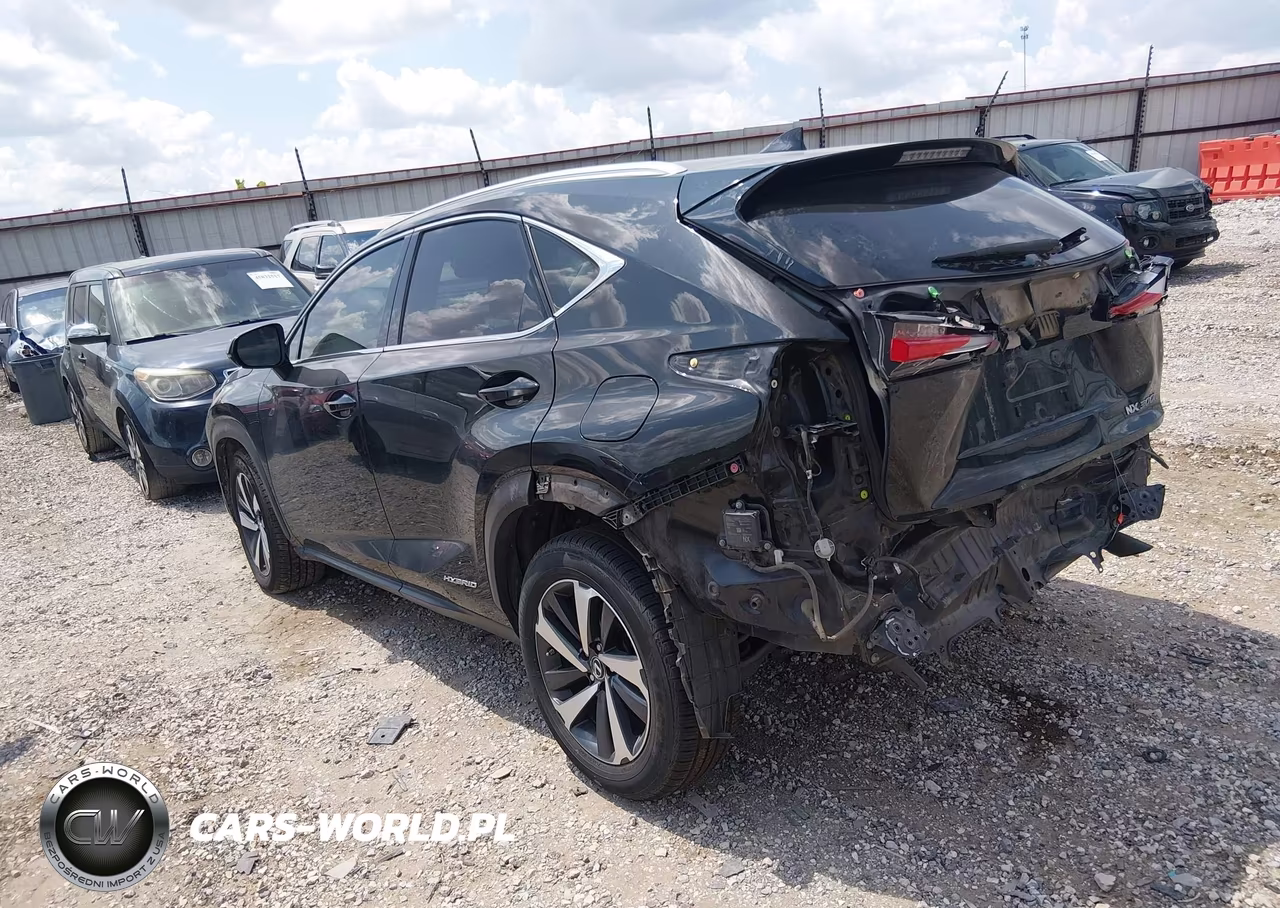 2019 Lexus Nx 300H VIN:JTJBJRBZ9K2111253 - 3