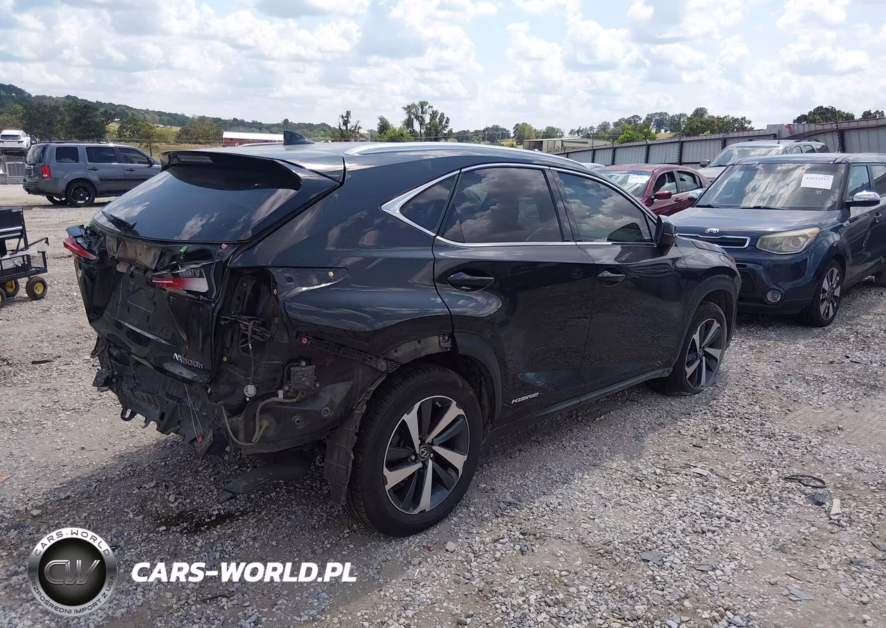 2019 Lexus Nx 300H VIN:JTJBJRBZ9K2111253 - 4