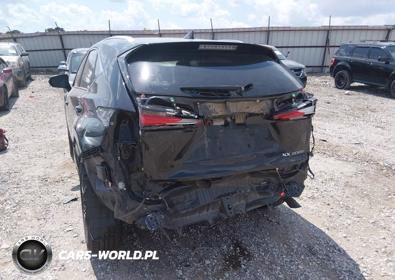 2019 Lexus Nx 300H VIN:JTJBJRBZ9K2111253 - 6