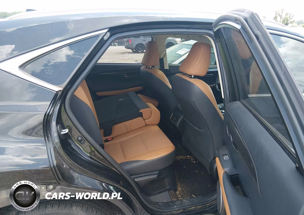 2019 Lexus Nx 300H VIN:JTJBJRBZ9K2111253 - 8
