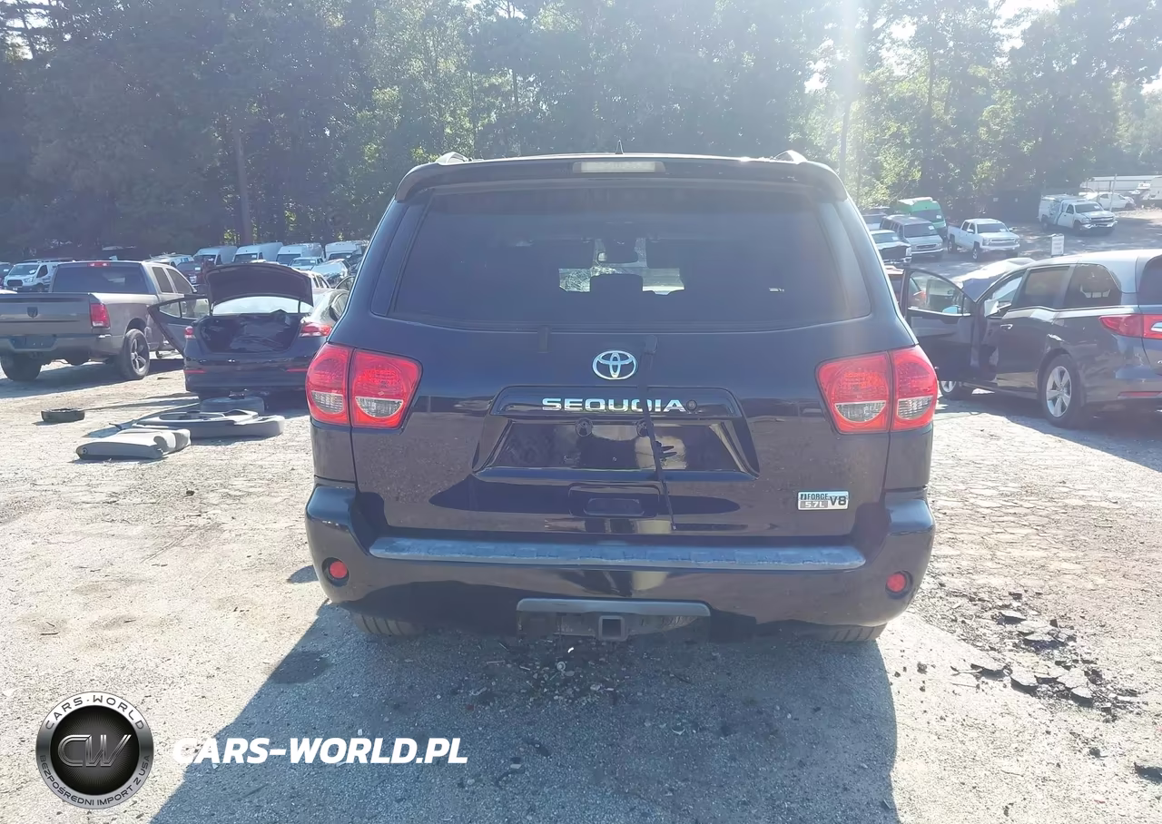 2010 Toyota Sequoia Sr5 5.7L V8 VIN:5TDZY5G18AS025335 - 16