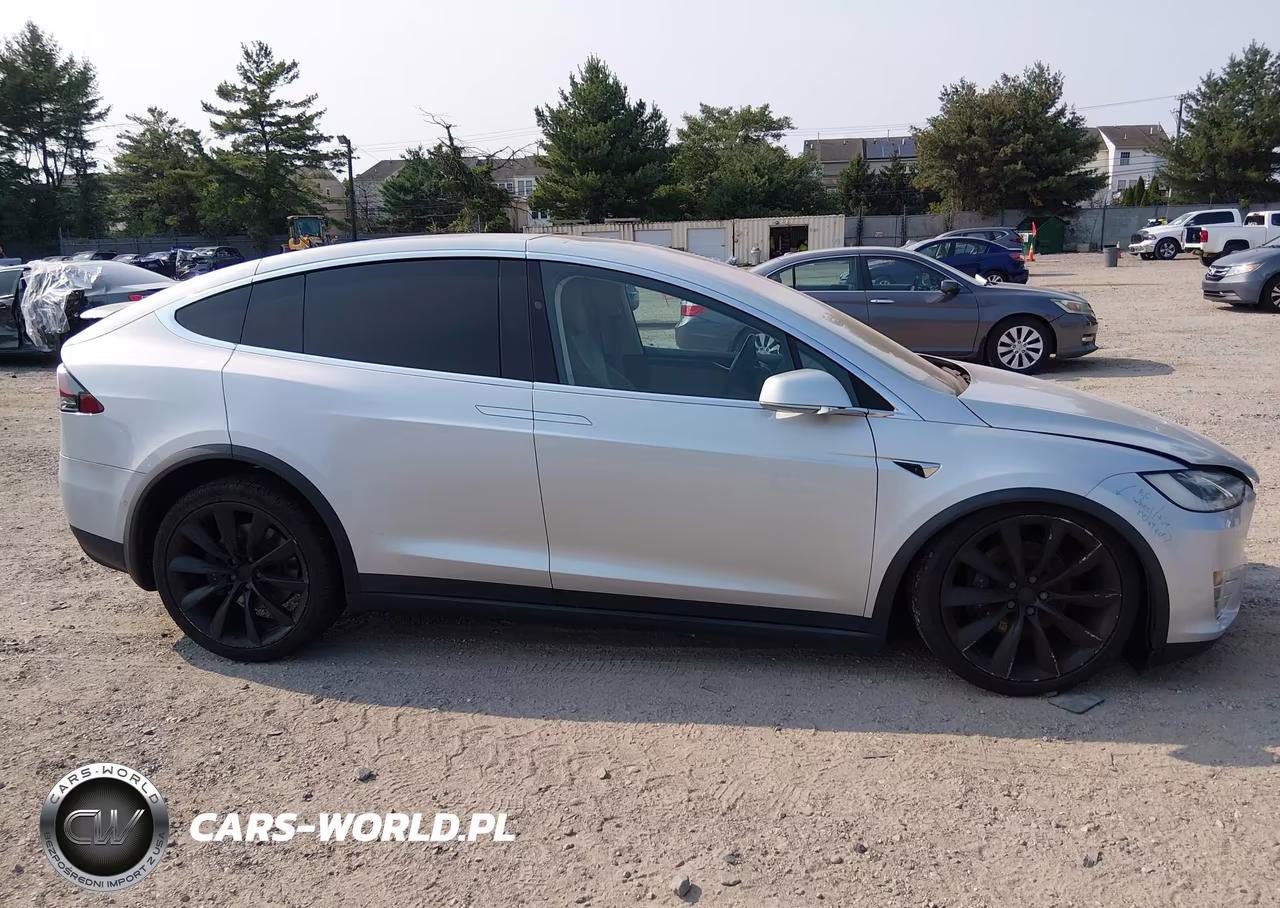 2017 Tesla Model X 100D-75D-90D VIN:5YJXCDE27HF056165 - 11