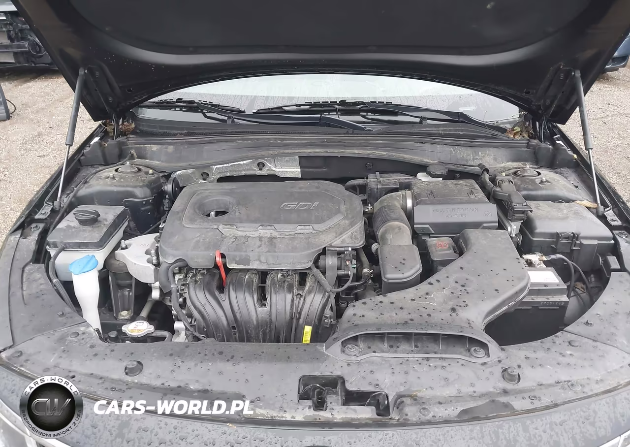 2018 Kia Optima Lx VIN:5XXGT4L34JG249680 - 10
