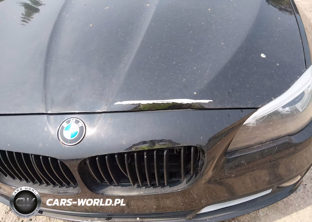 2016 BMW 528I xDrive VIN:WBA5A7C53GG146832 - 18