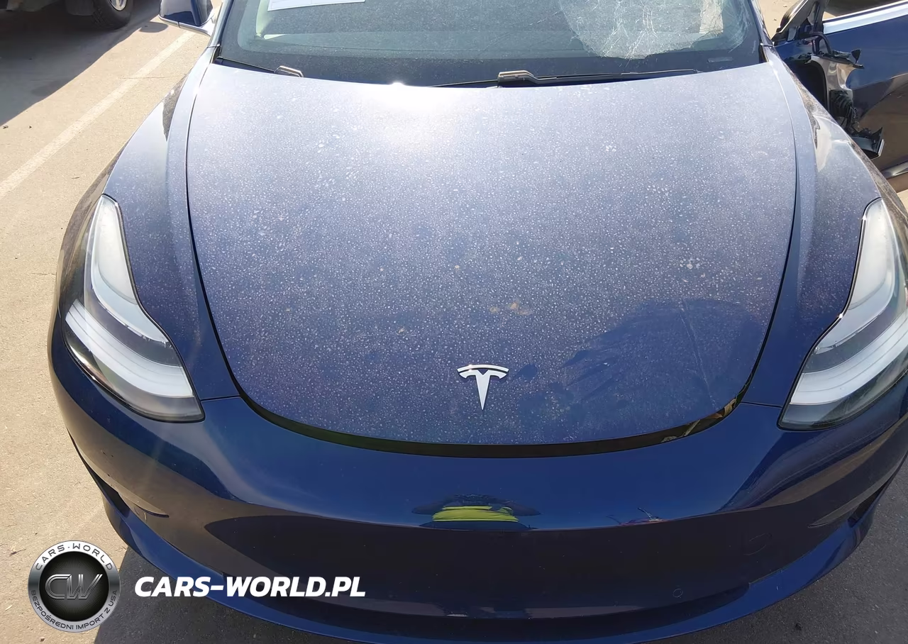 2018 Tesla Model 3 Long Range-Mid Range VIN:5YJ3E1EA6JF007365 - 10