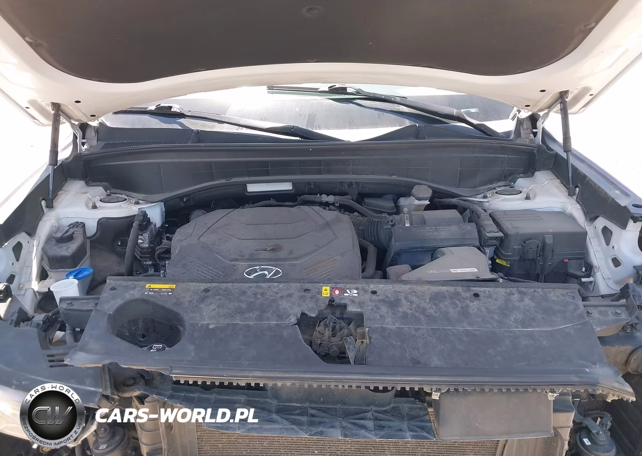 2020 Hyundai Palisade Sel VIN:KM8R44HE9LU109701 - 10