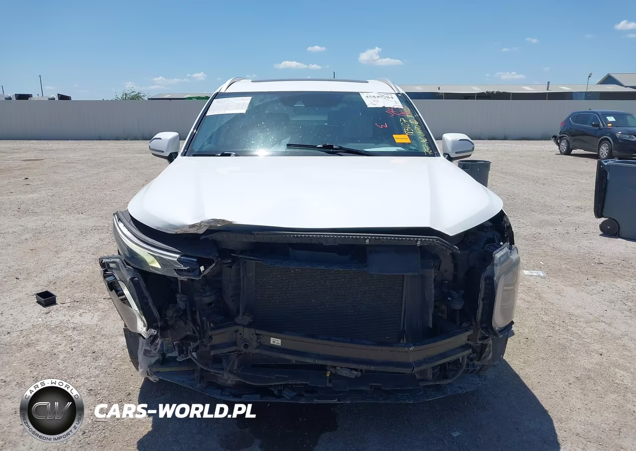 2020 Hyundai Palisade Sel VIN:KM8R44HE9LU109701 - 12