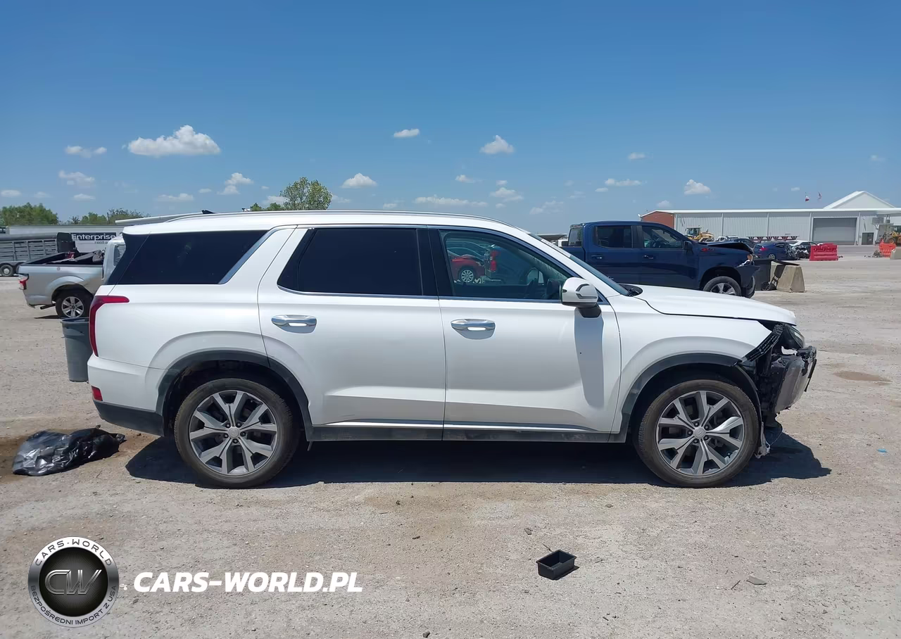 2020 Hyundai Palisade Sel VIN:KM8R44HE9LU109701 - 13