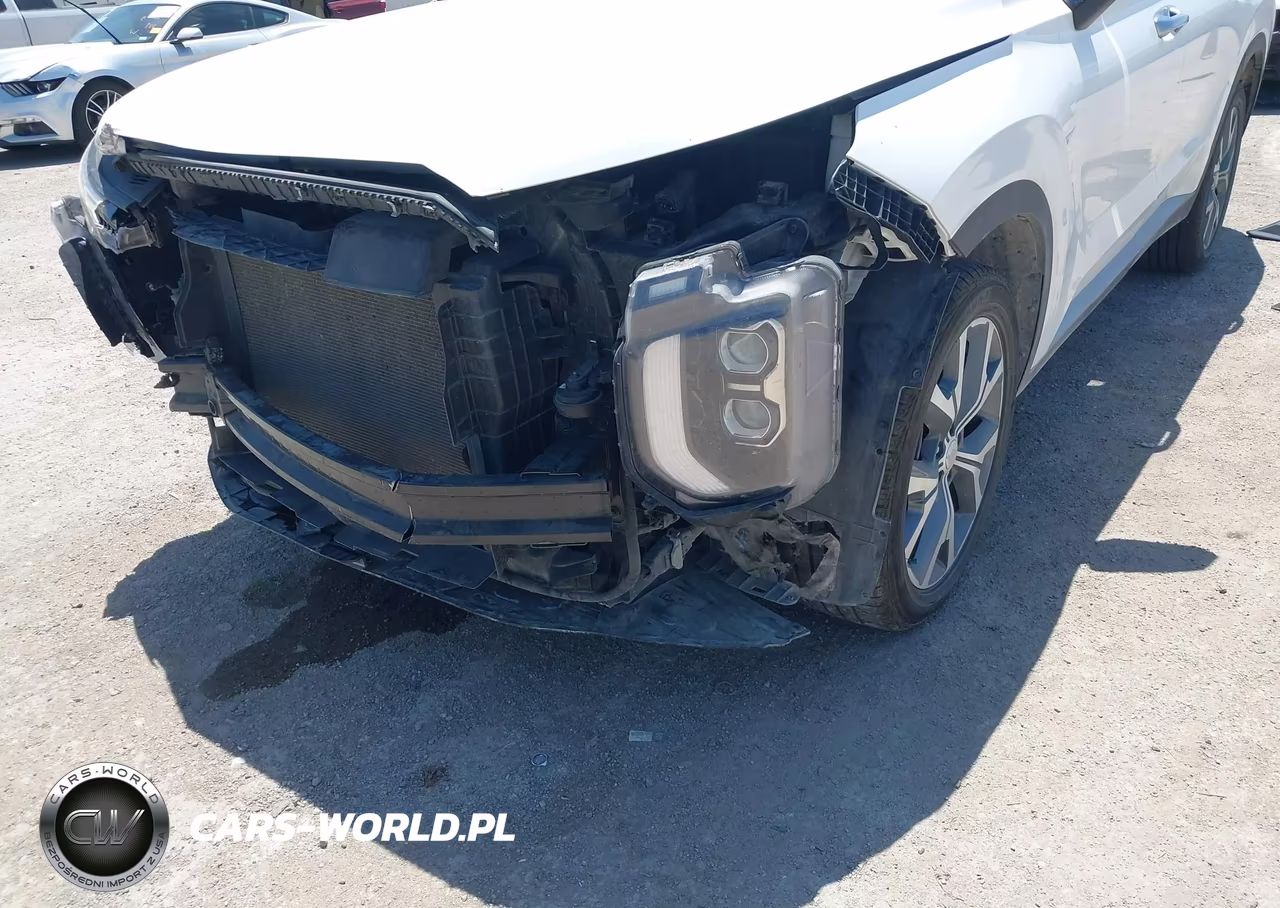 2020 Hyundai Palisade Sel VIN:KM8R44HE9LU109701 - 17