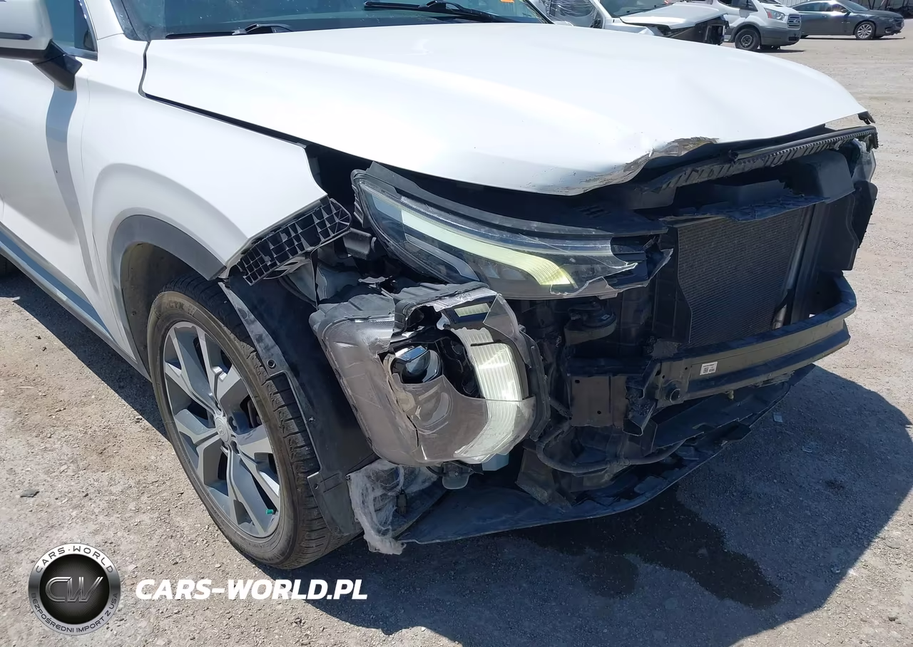 2020 Hyundai Palisade Sel VIN:KM8R44HE9LU109701 - 18