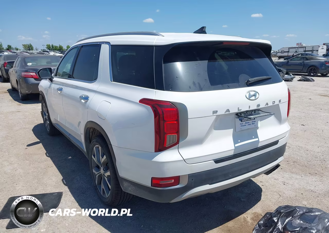 2020 Hyundai Palisade Sel VIN:KM8R44HE9LU109701 - 3