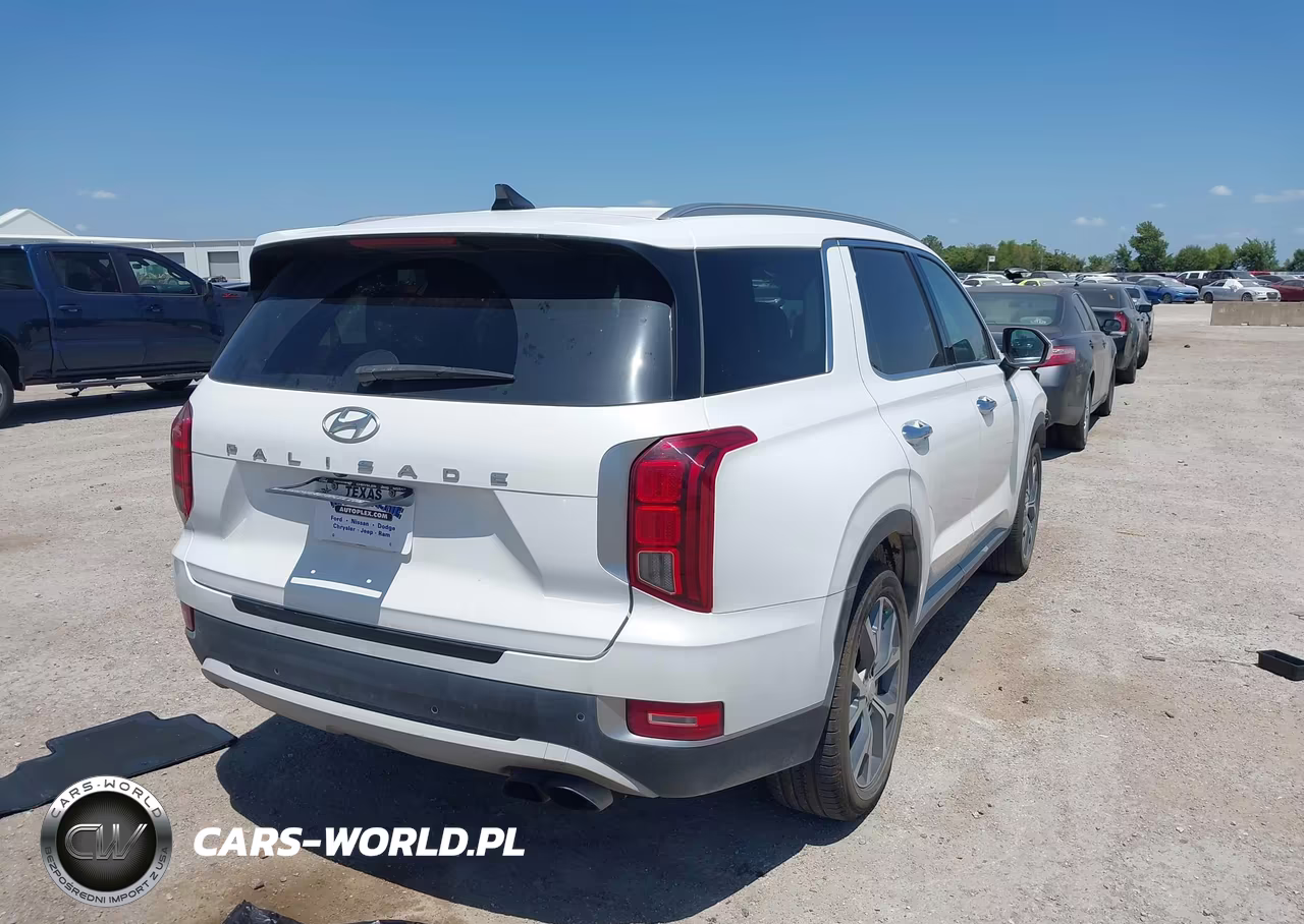 2020 Hyundai Palisade Sel VIN:KM8R44HE9LU109701 - 4