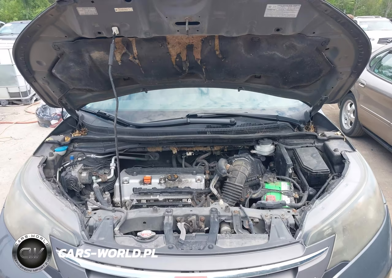 2013 Honda Cr-V Lx VIN:2HKRM4H35DH655507 - 10