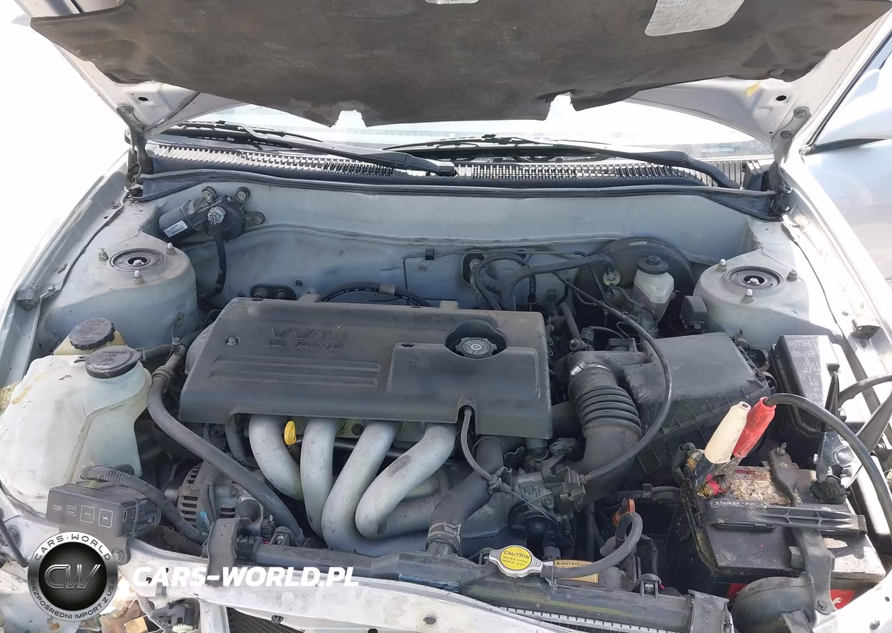 2000 Toyota Corolla Ce VIN:1NXBR12EXYZ325106 - 10
