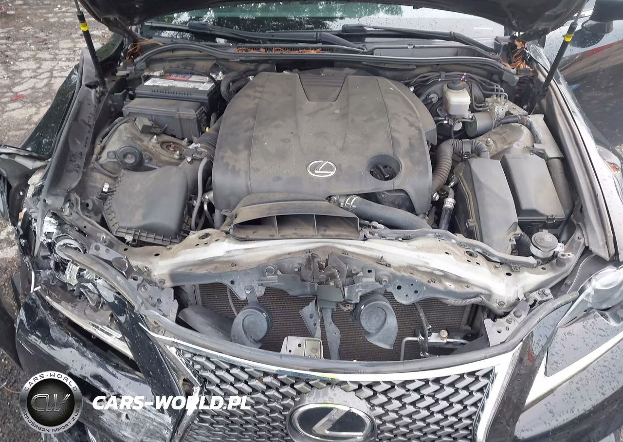 2014 Lexus Is 250 VIN:JTHBF1D29E5030003 - 10
