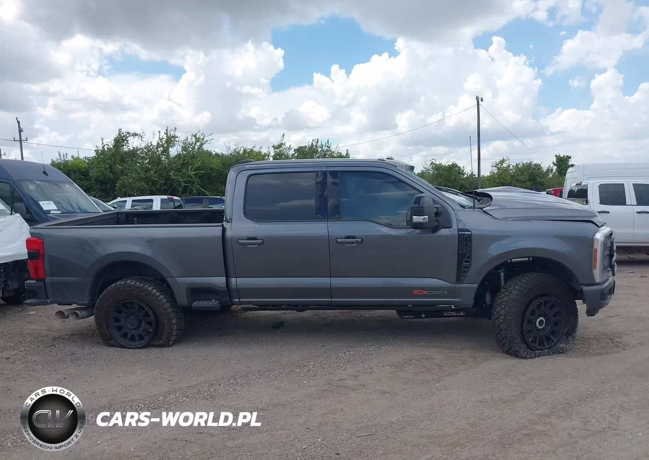 2025 Ford F-350 Platinum VIN:1FT8W3BMXSEC06452 - 13