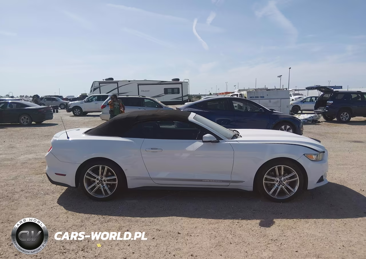 2016 Ford Mustang Ecoboost Premium VIN:1FATP8UH7G5302847 - 12