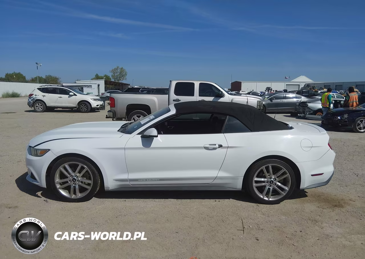 2016 Ford Mustang Ecoboost Premium VIN:1FATP8UH7G5302847 - 13
