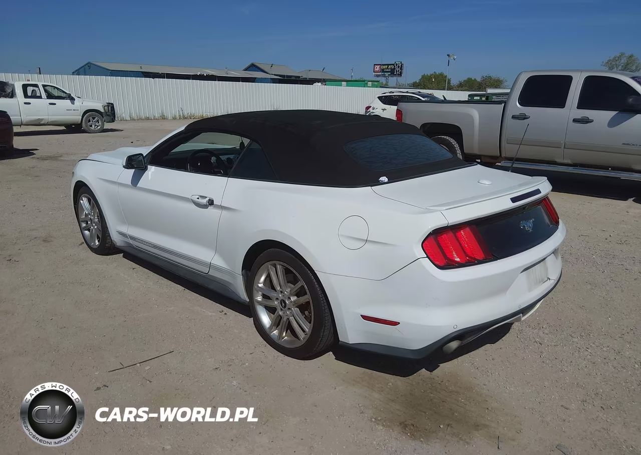 2016 Ford Mustang Ecoboost Premium VIN:1FATP8UH7G5302847 - 3
