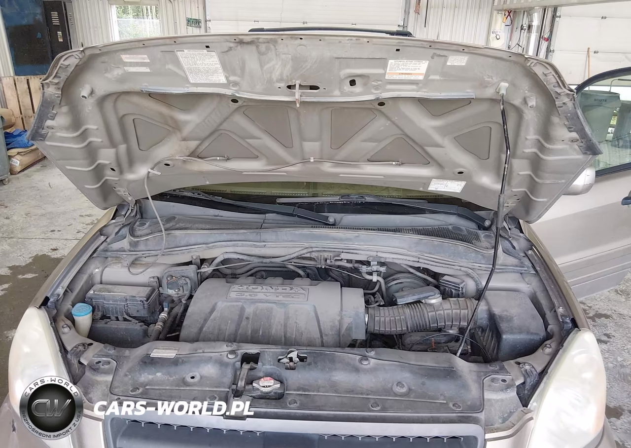 2005 Honda Pilot Ex-L VIN:2HKYF18655H531804 - 10