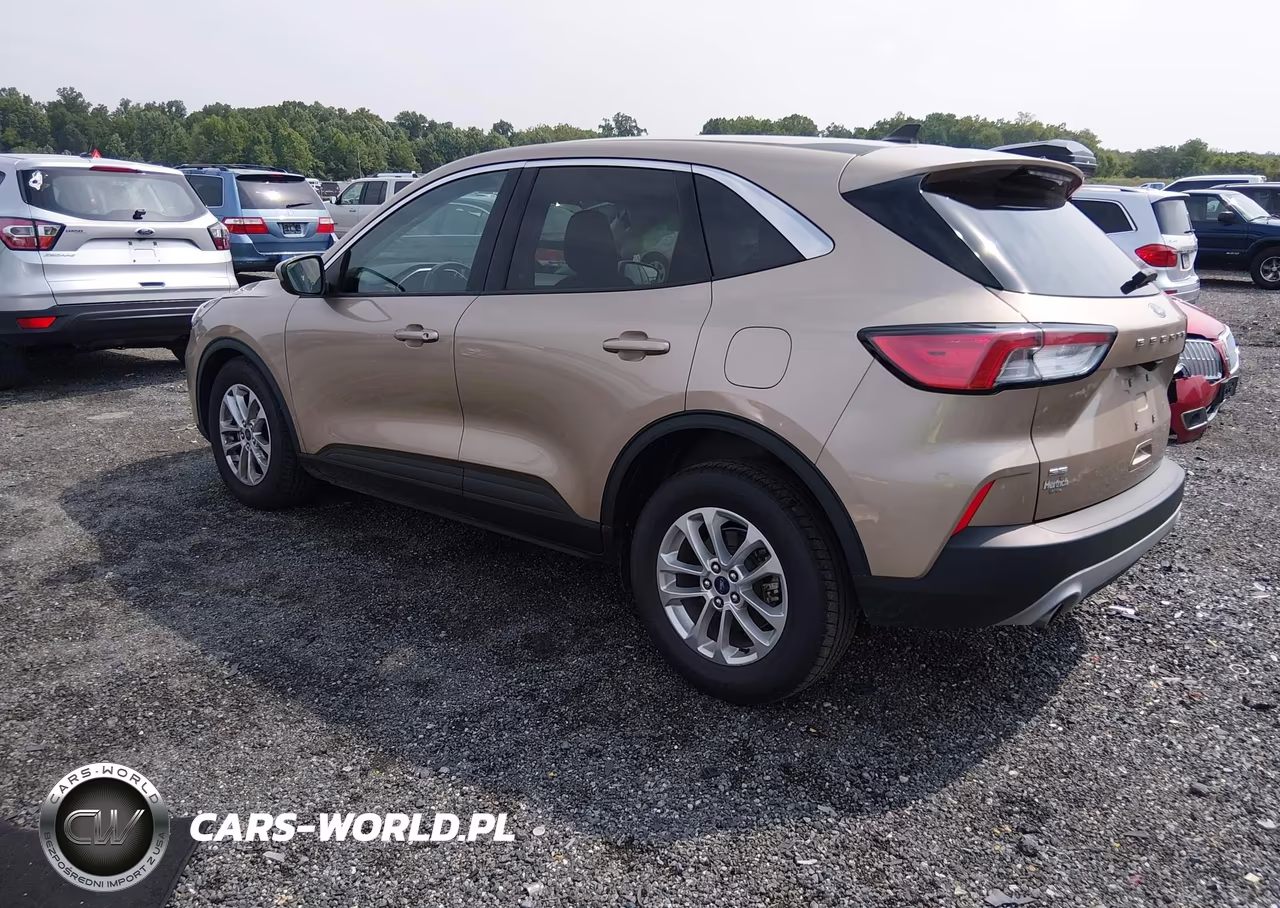 2021 Ford Escape Se VIN:1FMCU0G68MUA99656 - 3