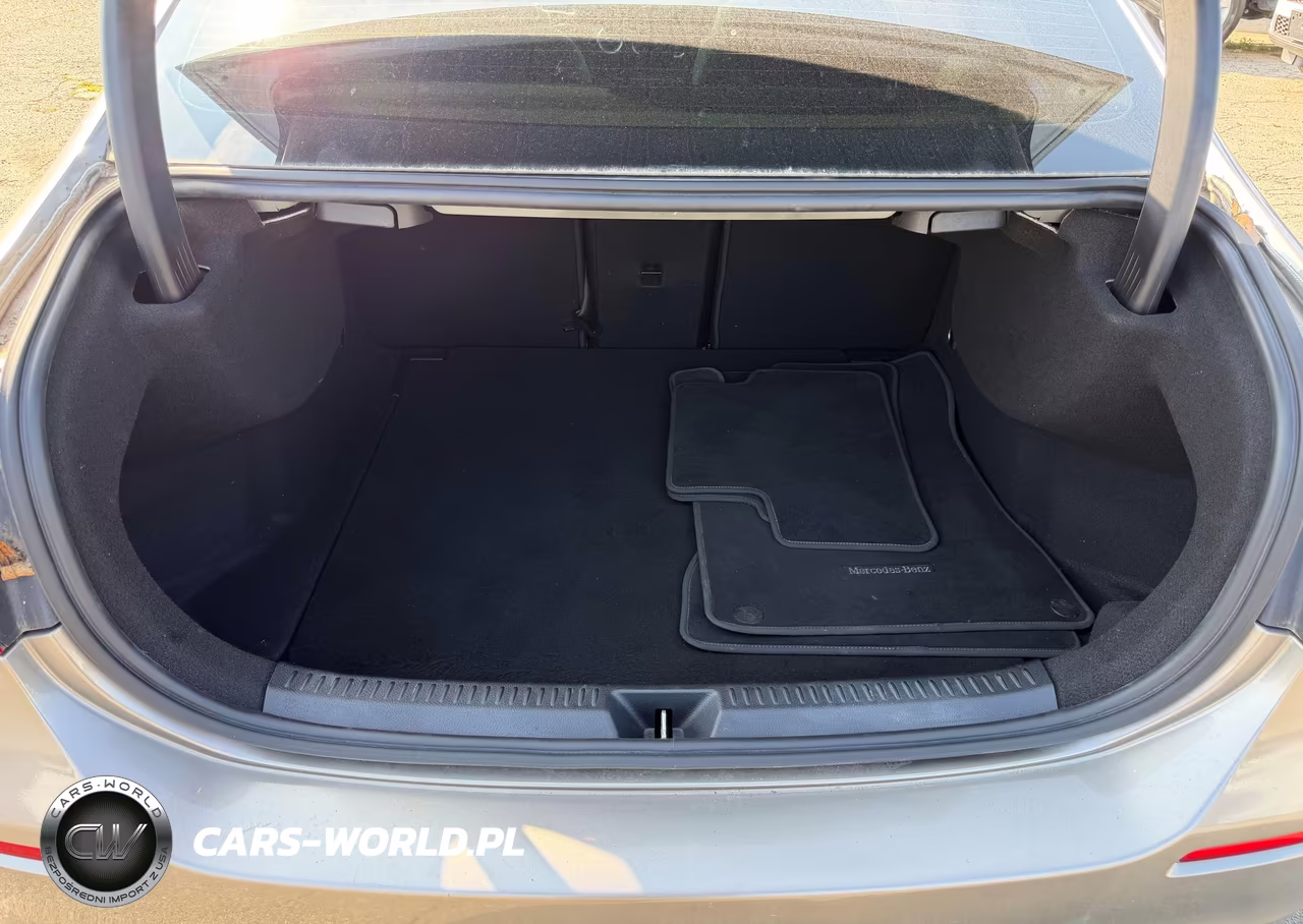 2019 Mercedes-Benz A 220 4Matic VIN:WDD3G4FB0KW024667 - 12