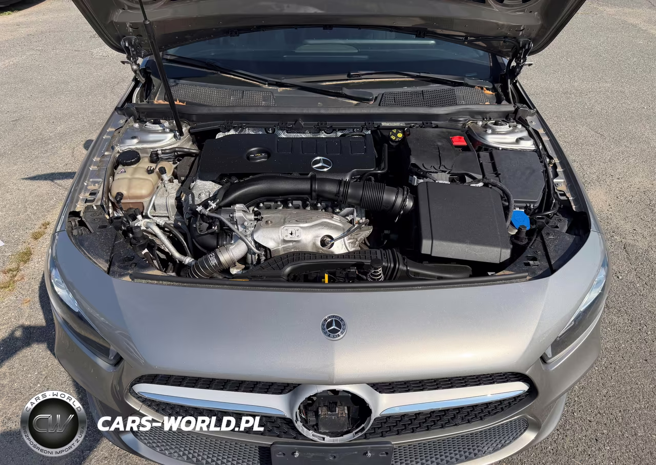 2019 Mercedes-Benz A 220 4Matic VIN:WDD3G4FB0KW024667 - 9