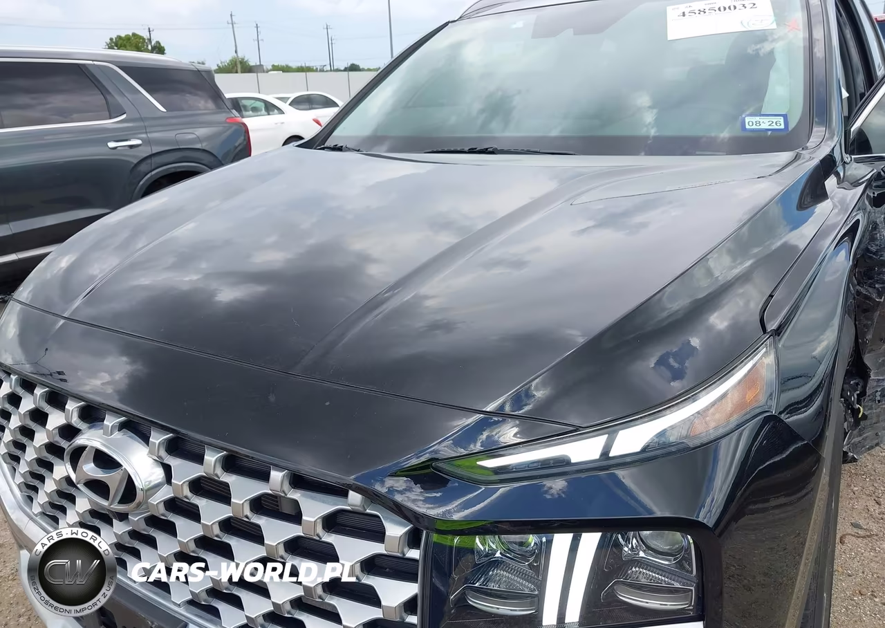 2023 Hyundai Santa Fe Limited VIN:5NMS44AL6PH612968 - 10
