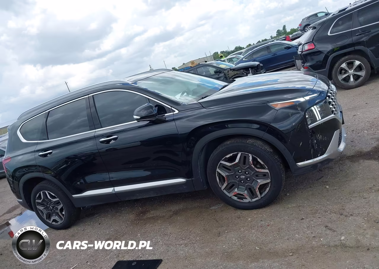 2023 Hyundai Santa Fe Limited VIN:5NMS44AL6PH612968 - 13