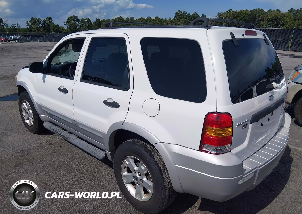 2007 Ford Escape Xlt-Xlt Sport VIN:1FMCU031X7KB87957 - 3