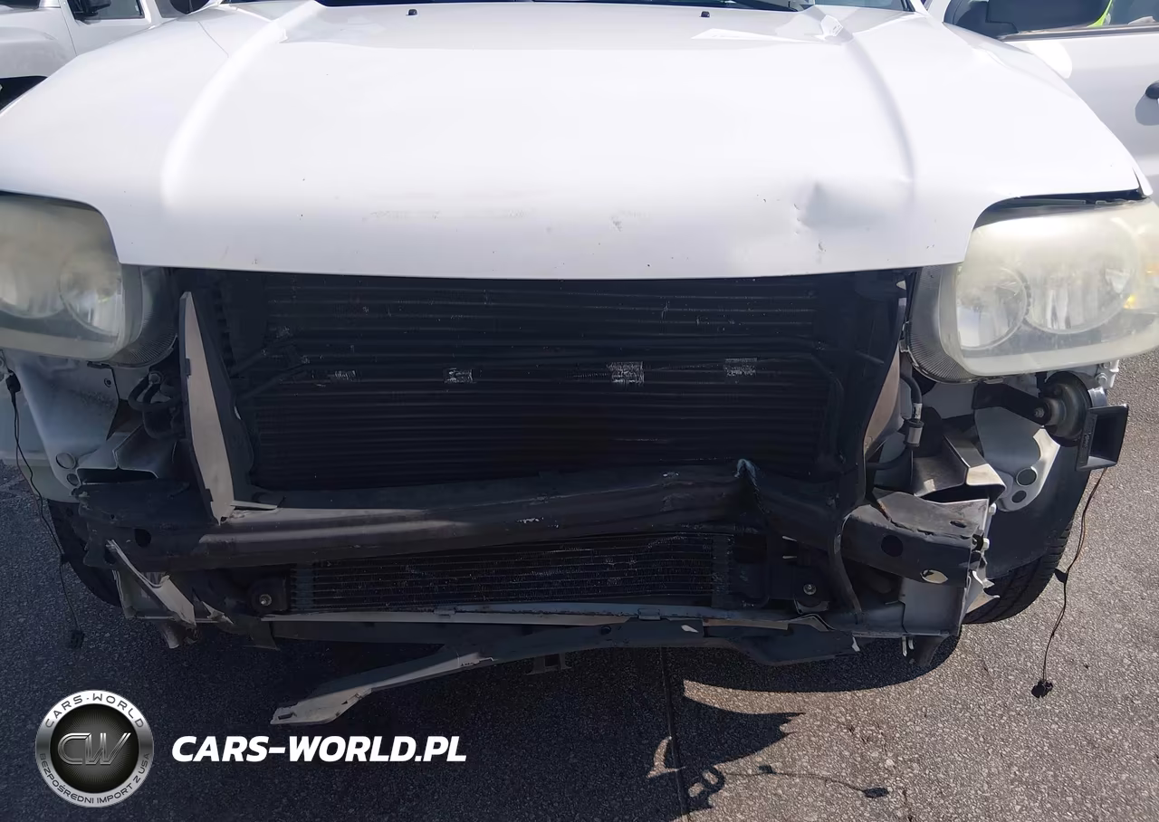2007 Ford Escape Xlt-Xlt Sport VIN:1FMCU031X7KB87957 - 6