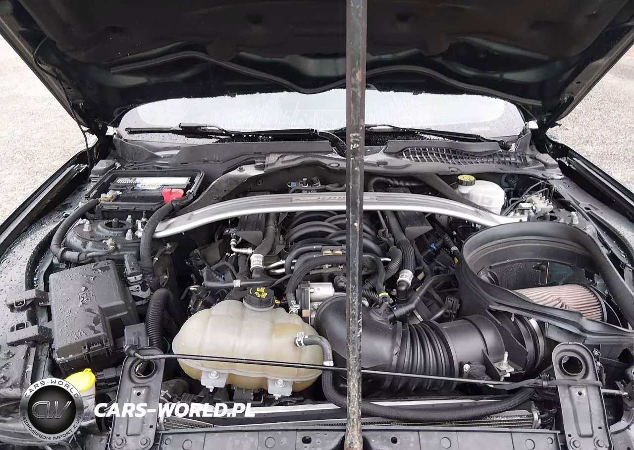 2019 Ford Mustang Bullitt VIN:1FA6P8K03K5503180 - 10