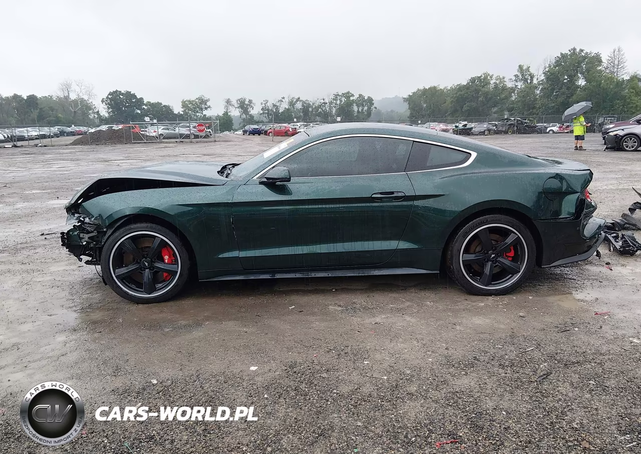 2019 Ford Mustang Bullitt VIN:1FA6P8K03K5503180 - 15