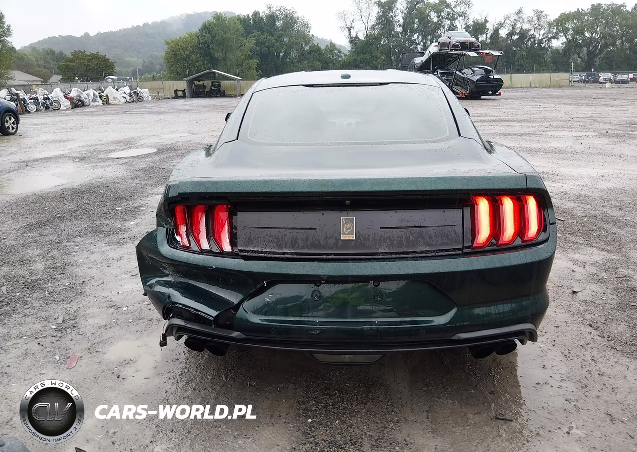2019 Ford Mustang Bullitt VIN:1FA6P8K03K5503180 - 17