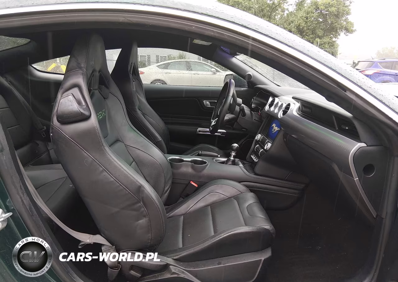 2019 Ford Mustang Bullitt VIN:1FA6P8K03K5503180 - 5