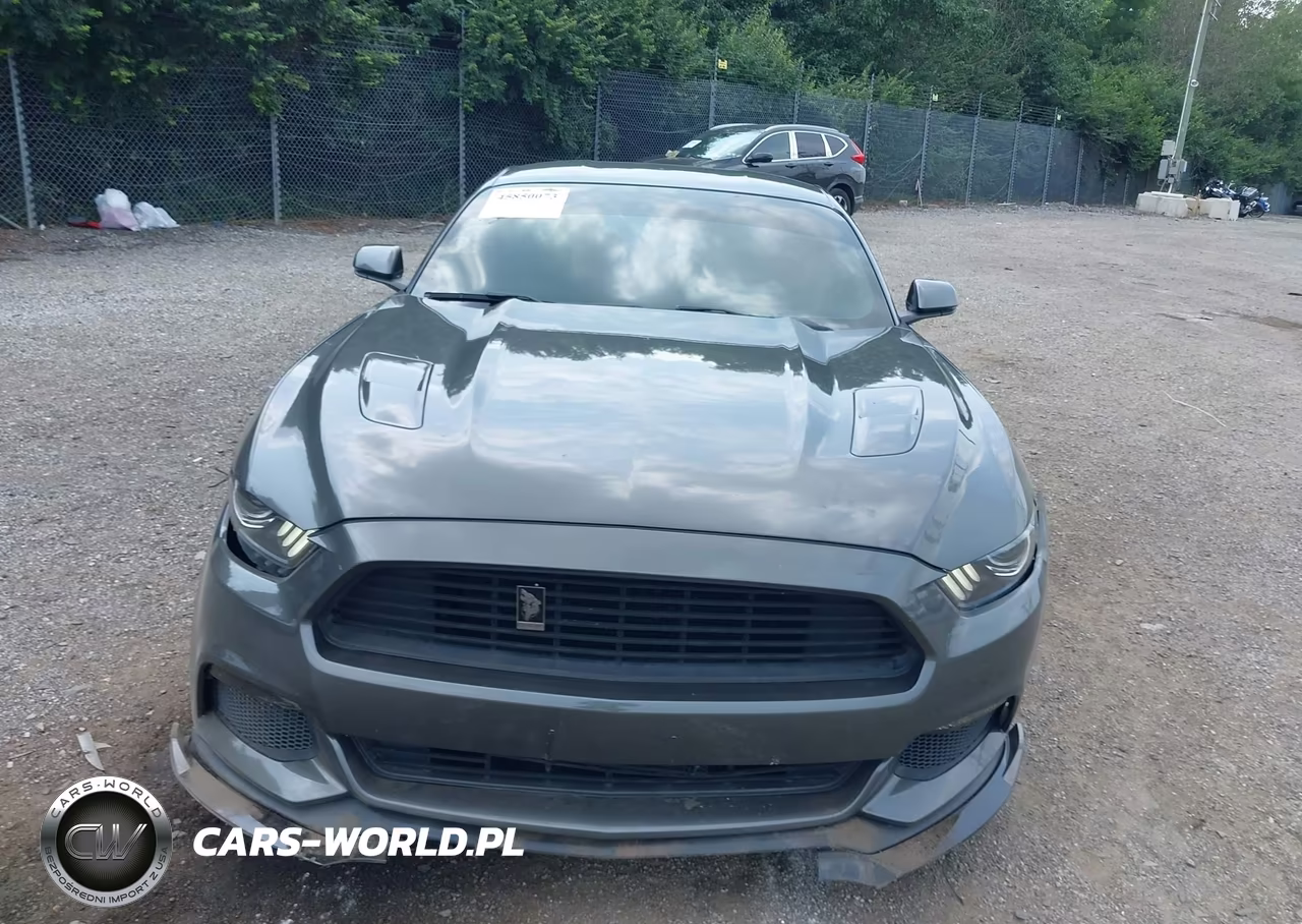 2017 Ford Mustang Gt Premium VIN:1FA6P8CFXH5319625 - 13
