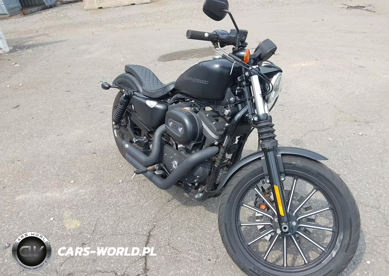 2009 Harley-Davidson Xl883 N – zdjęcie 1 z 13