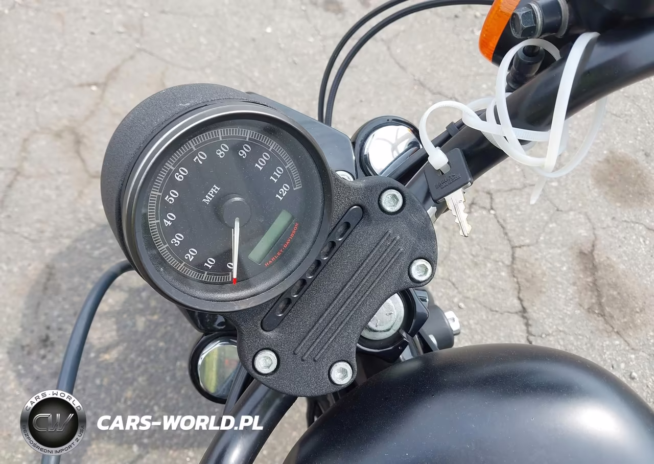 2009 Harley-Davidson Xl883 N VIN:1HD4LE2469K454484 - 11