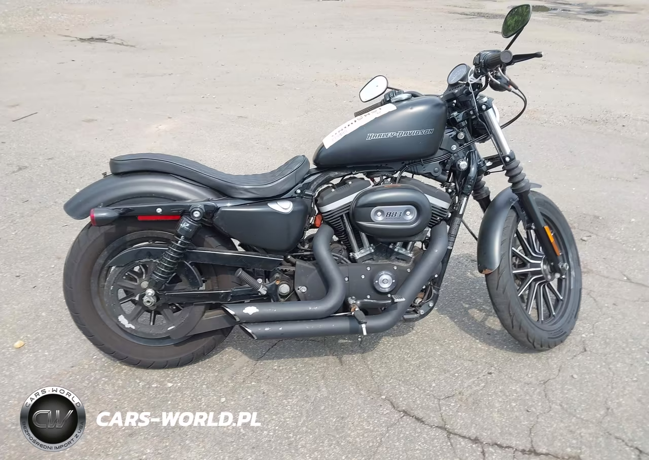 2009 Harley-Davidson Xl883 N VIN:1HD4LE2469K454484 - 12
