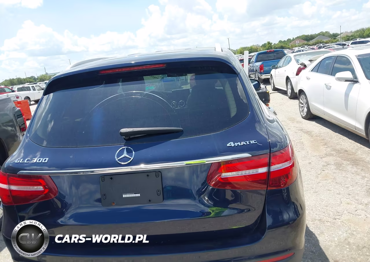 2019 Mercedes-Benz Glc 300 4Matic VIN:WDC0G4KB5KF623187 - 16